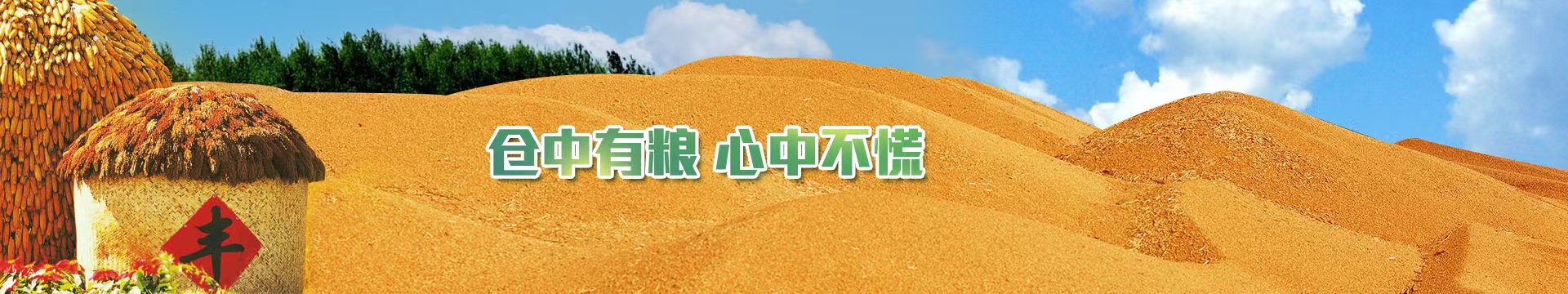 最新！百姓粮网发布华北玉米市场动态